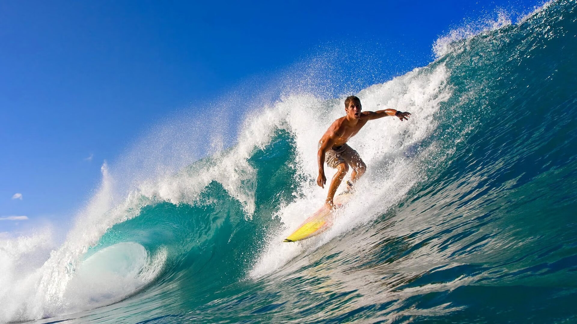 C9鏖战五局险胜对手，wec9第五局